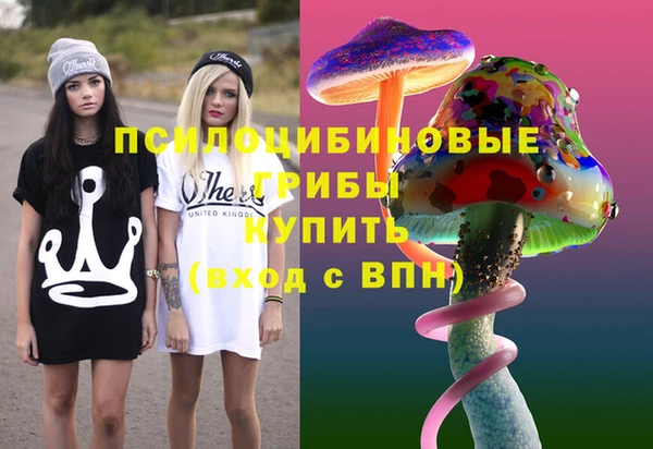 стафф Россошь