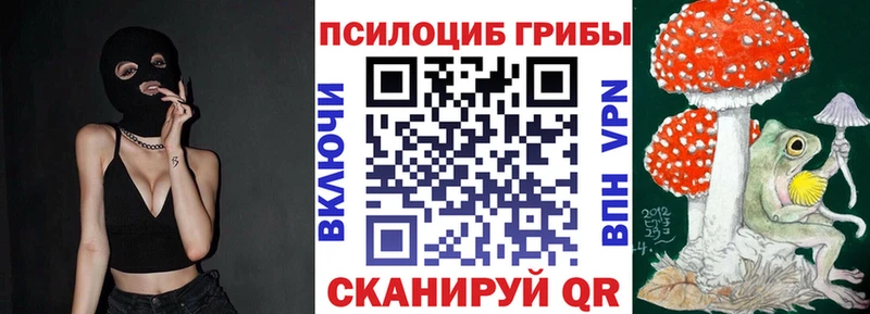блэк спрут маркетплейс  Покачи  Галлюциногенные грибы Cubensis  закладка 